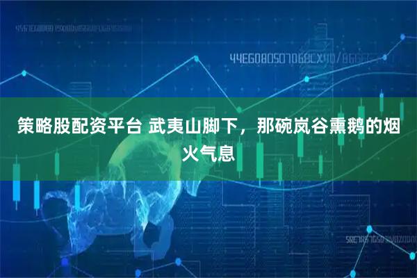 策略股配资平台 武夷山脚下，那碗岚谷熏鹅的烟火气息