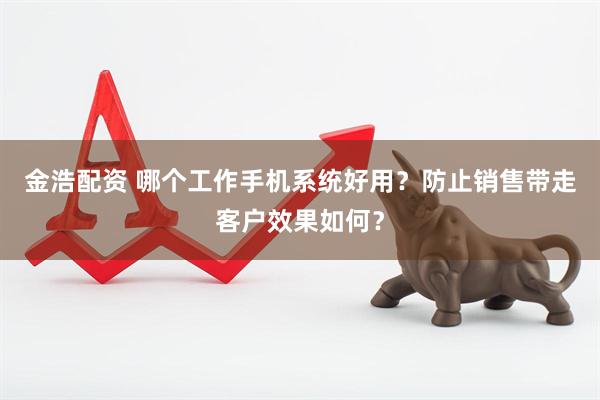 金浩配资 哪个工作手机系统好用？防止销售带走客户效果如何？